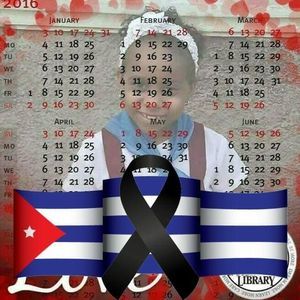 Meet your Posher, Ana rosa